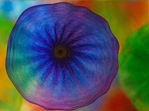 베타 존 스테이지 개방