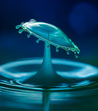 창의적이고 흥미로운 탐험 세상